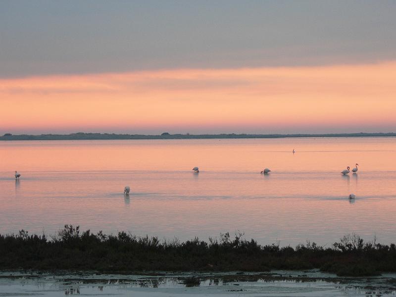 2008_12_Camargue_04 Les Saintes Maries_39.jpg